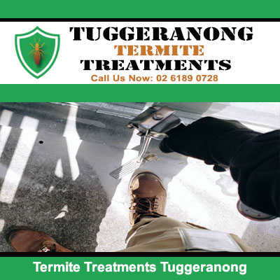Technician applying termite treatment in Tuggeranong
